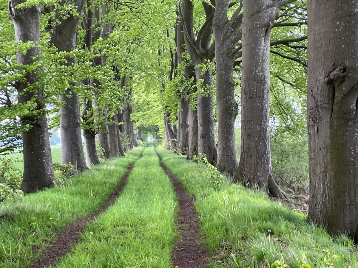 Het Riethuis Holthone Buitenkant foto